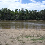 Murray-River