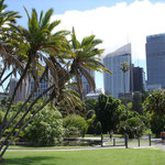 Sydney vom botanischen Garten aus