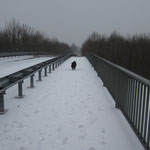 Phebbels auf der Eisenbahnbrücke