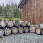 überall Fässer und es duftet nach Whisky