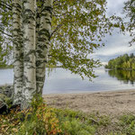 Ufer des Flusses Åbyälven