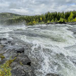 Stromschnellen des Flusses Piteälven "Storforsen" 