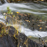Fließstudie am Fluss Piteälven