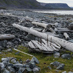 Jede Menge Holz
