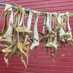 Stockfisch