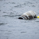 ob Hier auch Whisky drin ist?