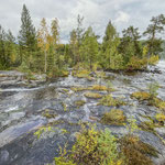 Stromschnellen des Flusses Piteälven "Storforsen" 