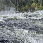 Stromschnellen des Flusses Piteälven "Storforsen"
