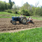 Plantation des pommes de terre