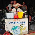 Das crazy crab race kann beginnen!