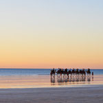 Sehr beliebt in Broome ist ein Kamelritt bei Sonnenuntergang. Für schlappe 70$ pP.