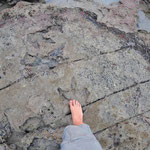 Ein echter versteinerter Dinosaurier Fußabdruck - 250 Mio Jahre später stellt sich Simon an die exakt gleiche Stelle wie das Urviech seinerzeit