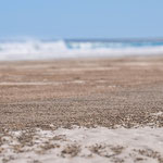 Strandkrabben bilden abertausende Sandkügelchen und legen sie achtlos auf den boden