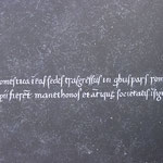 detail