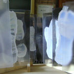 cloudwalk 2012