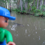 Patrick se demande s'il est bien en train de voir un alligator. 