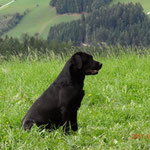 jagdliches Training