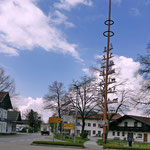 Maibaum in Frasdorf