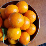 Auch wenn auf dem Grundstück Orangen und Zitrusfrüchte wachsen, geniessen wir unsere mitgebrachten Mandarinen. Denn die Orangen sind hier bitter. 