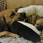 Wie die Mama, so die Tochter