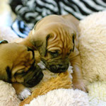 Was können wir denn jetzt mal anstellen