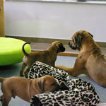 Wassss, möchtest DU?