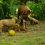 Natürlich immer mit dabei Mama...