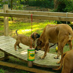 Oma Zaina mit klein Zaina-Gelbchen