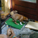 ...erkunden neugierig Alles