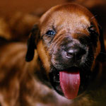 ...wirkt in diesem...