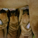 Immer wieder Energie tanken bei Mama