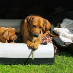 Was wird denn DAS - Z'Alegria? Flötenunterricht?