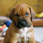 ...jedes Gramm einfach zauberhaft!