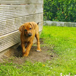 Lass das nicht Andrea sehen