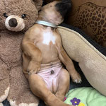 Unglaublich entspannt