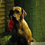 ...begleitet die Zwerge im neuen Bereich