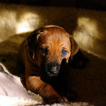 ...noch magischer...