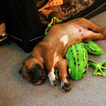 Wer ist hier der Sieger?