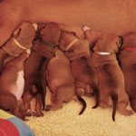 Vor dem Ausflug erst einmal Energie tanken