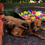 ...ein Enkel geflogen!