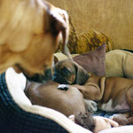 Mama hat alle alles im Blick