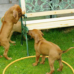 Was ist das DENN?????