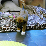 ...und hier auf den Weg ins neue Abenteuer