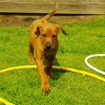 Upps, dann schnell weg