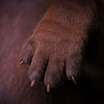 ...die einmal große Spuren hinterlassen werden - besonders im Herzen!