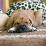 ...ich auch noch ein bisschen