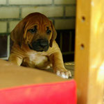 Upps, ich komme hier nicht hoch!