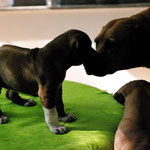 Und überwacht ALLES