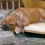 Auf dem Weg eingeschlafen