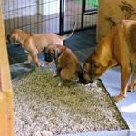 Hey Mama, das kann ich schon ganz allein